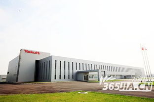 探尋養樂多獨特的益生菌健康之旅與技術開發